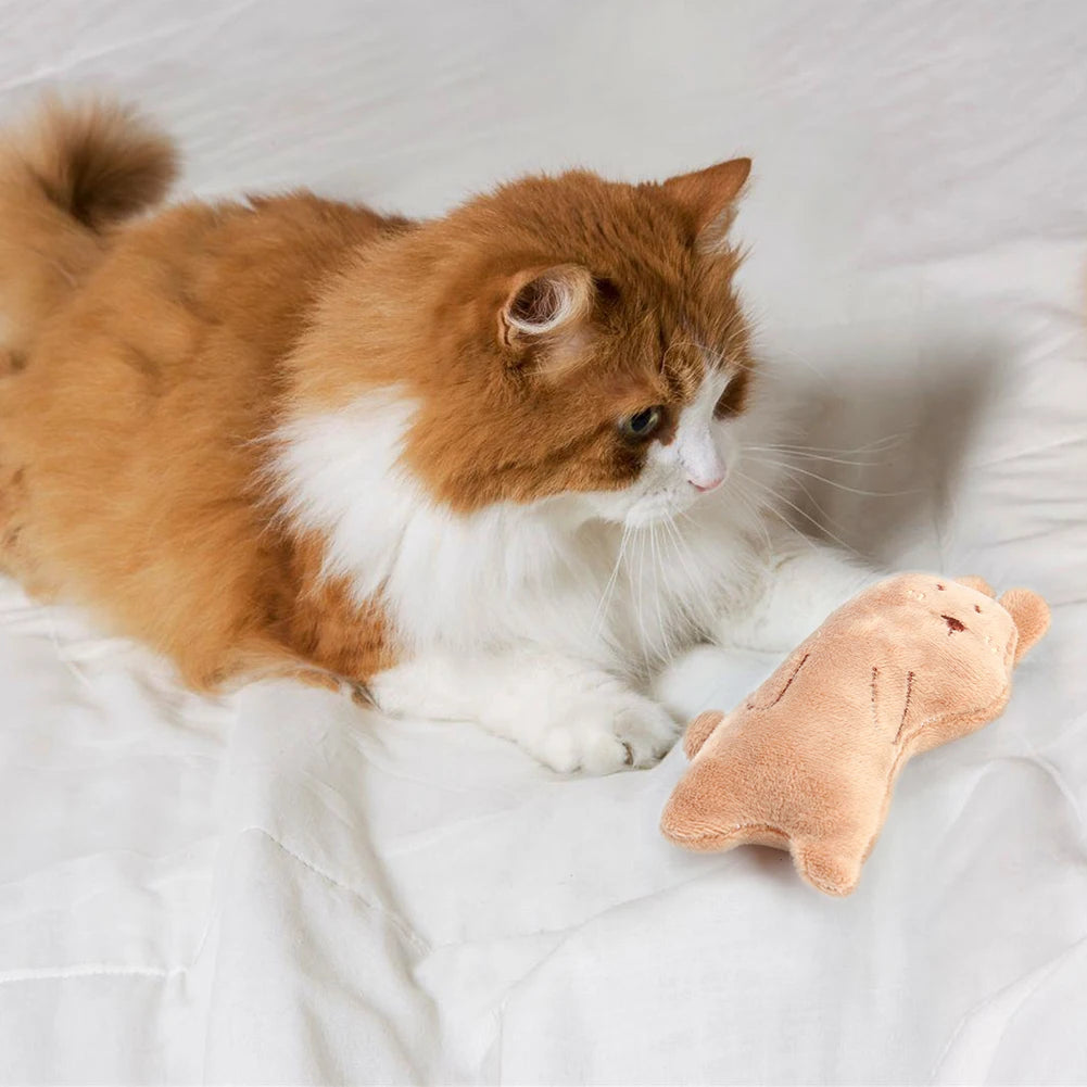Teeth Grinding Catnip Toys Funny Interactive Plush Cat Toy Pet Kitten Chewing Vocal Toy Claws Thumb Bite Cat Mint for Cats